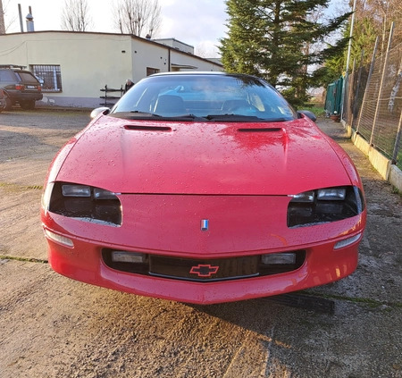 Chevrolet Camaro cena 49000 przebieg: 144000, rok produkcji 1993 z Oleśnica małe 232